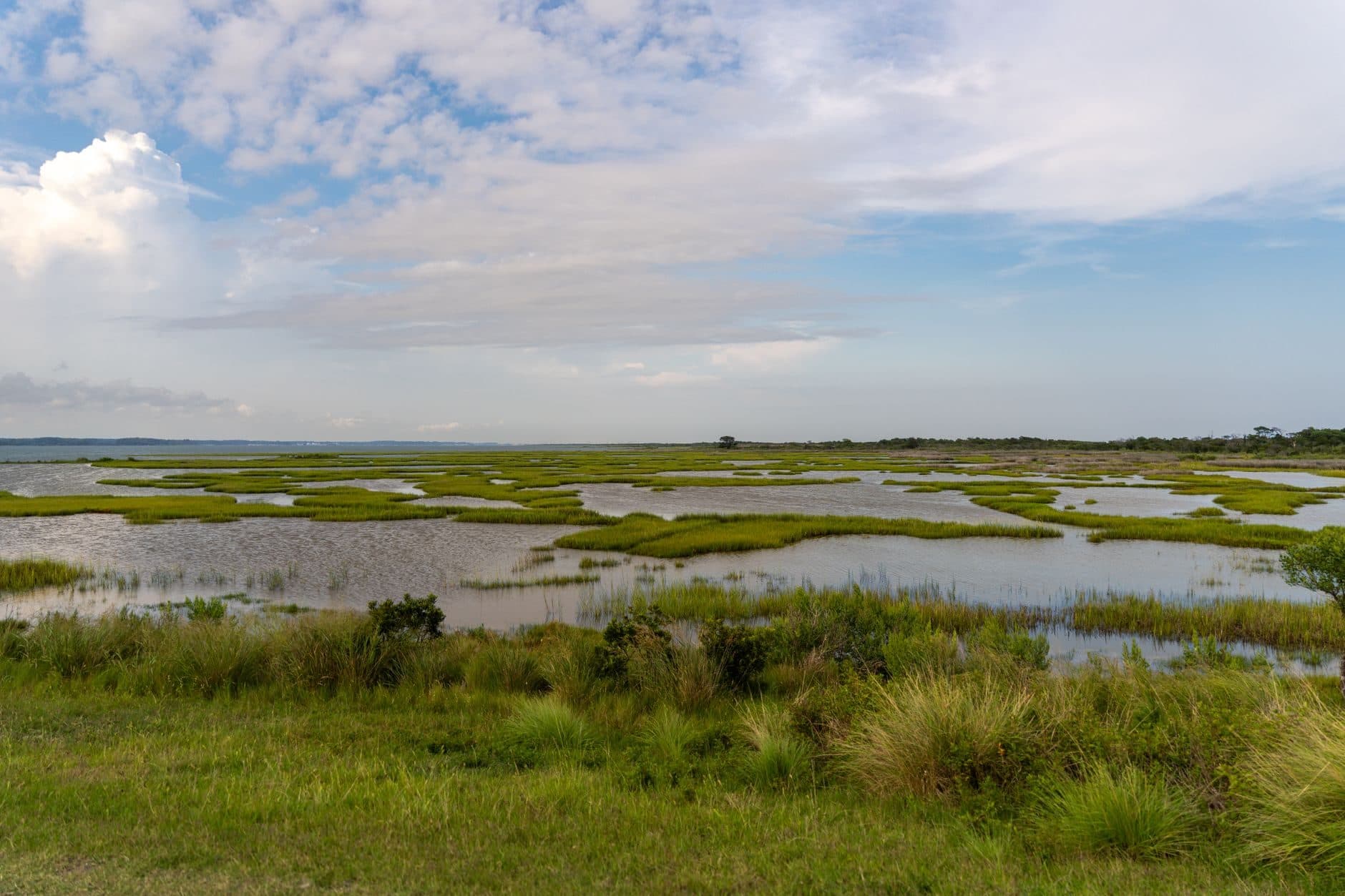 A coastal salt marsh with shallow open water under a blue sky