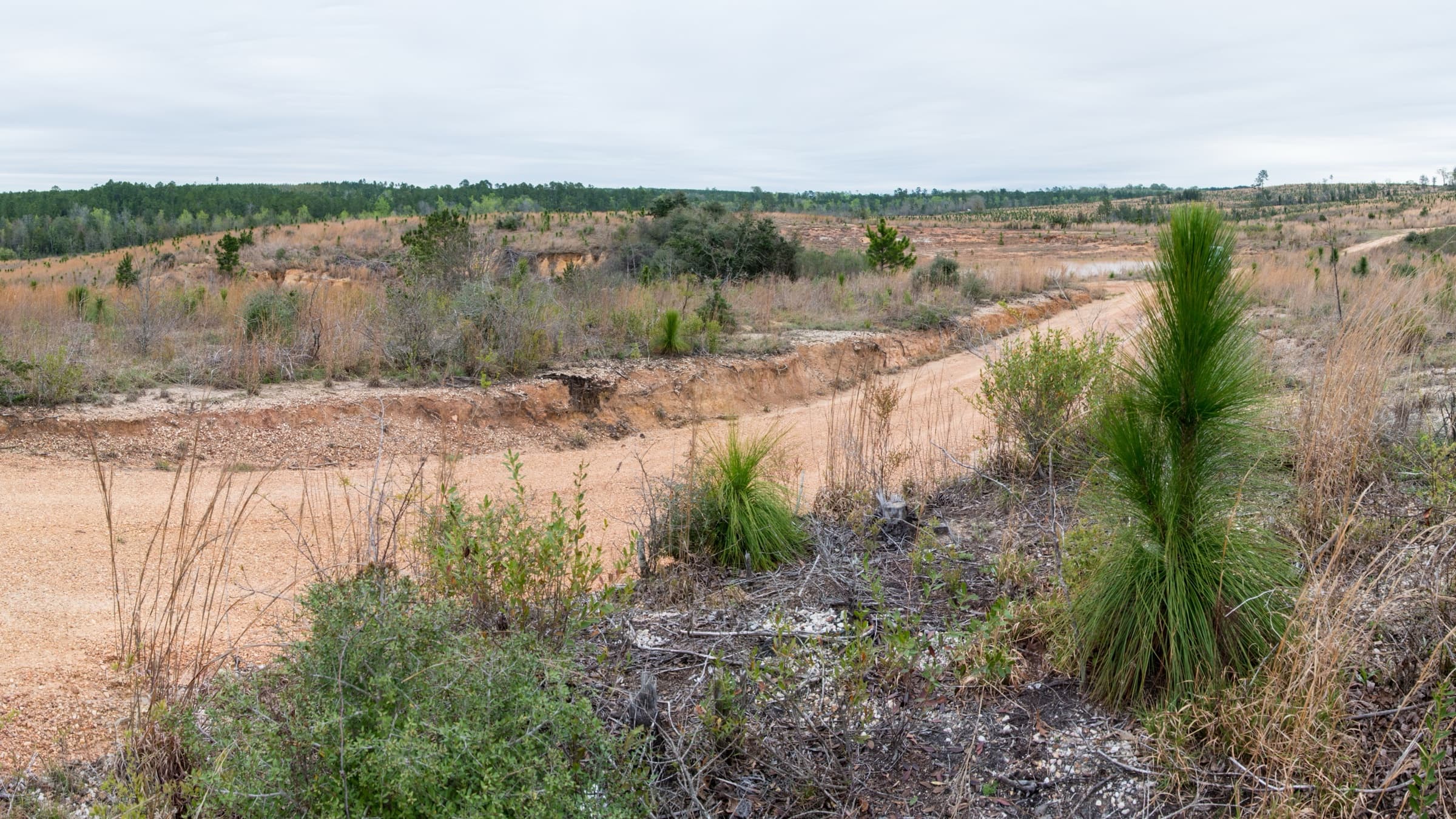 Gulf-Coast residential water filtration in Citronelle, Mobile County, AL - Northern Mobile County town built on…