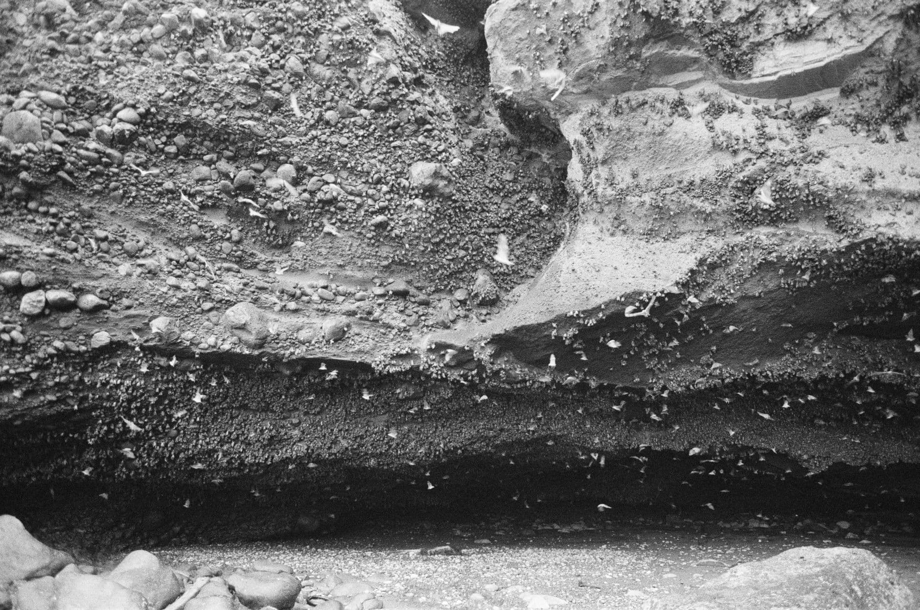 Layered sand, gravel and cobbles exposed by erosion in a coastal bank