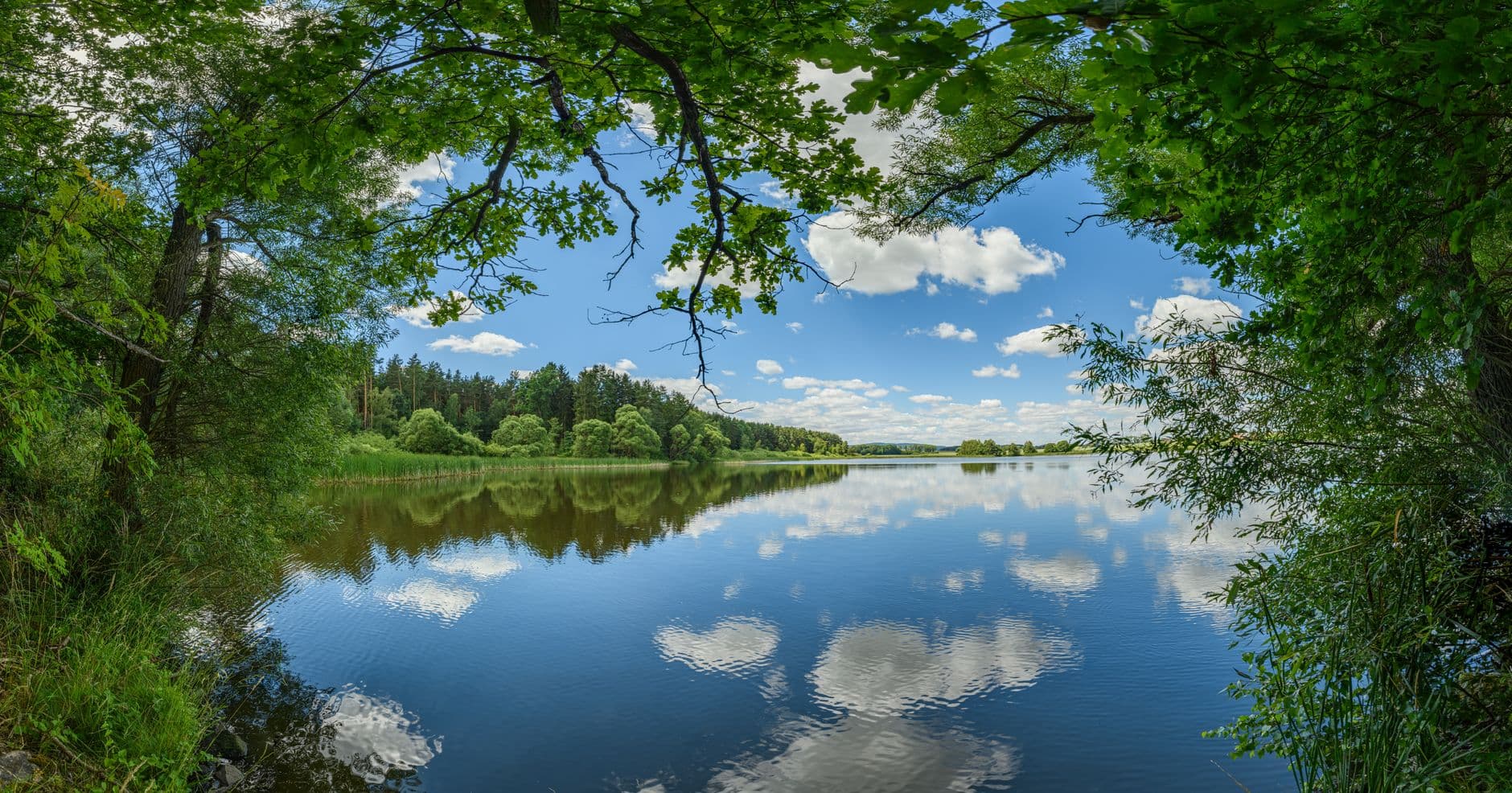 A calm rural lake with trees reflected on the surface
